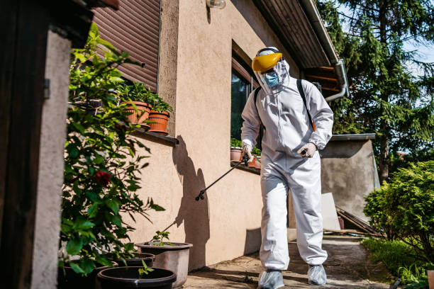 Best Pest Prevention Services  in Rock Hall, MD