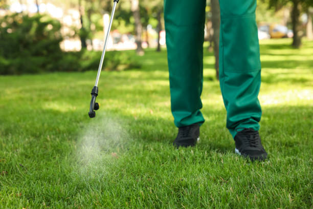 Best Insect Control  in Rock Hall, MD