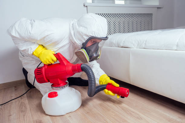 Best Affordable Pest Control Services  in Rock Hall, MD