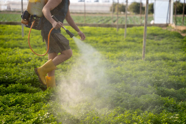 Best Commercial Pest Control Services  in Rock Hall, MD