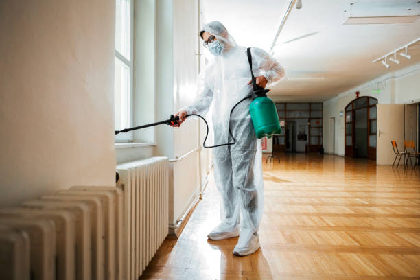 Best Cockroach Control Services  in Rock Hall, MD